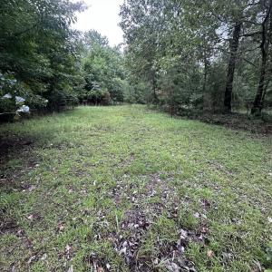 Photo #5 of 844 Sweet Raspberry, Lillington, NC 17.4 acres