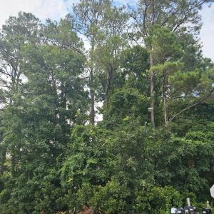 Photo #2 of 5608 Yacht, Oak Island, NC 0.4 acres