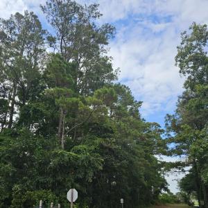 Photo #1 of 5608 Yacht, Oak Island, NC 0.4 acres