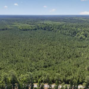 Photo #26 of 82 Acres Point Caswell Rd, Atkinson, NC 82.0 acres