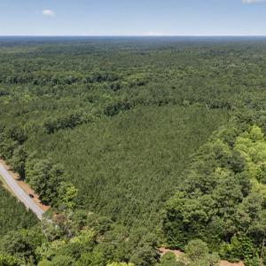 Photo #5 of 82 Acres Point Caswell Rd, Atkinson, NC 82.0 acres