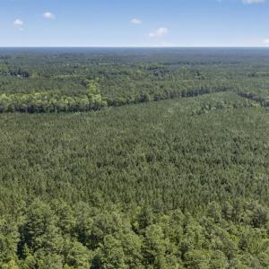 Photo #15 of 82 Acres Point Caswell Rd, Atkinson, NC 82.0 acres