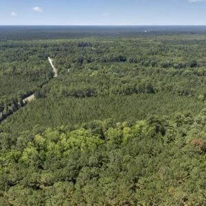 Photo #7 of 82 Acres Point Caswell Rd, Atkinson, NC 82.0 acres