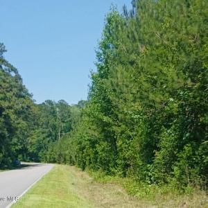 Photo #1 of 82 Acres Point Caswell Rd, Atkinson, NC 82.0 acres