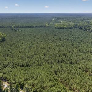 Photo #27 of 82 Acres Point Caswell Rd, Atkinson, NC 82.0 acres