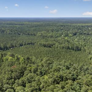 Photo #8 of 82 Acres Point Caswell Rd, Atkinson, NC 82.0 acres