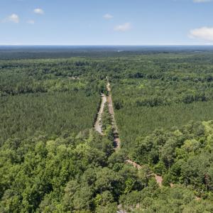Photo #23 of 82 Acres Point Caswell Rd, Atkinson, NC 82.0 acres