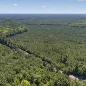 Photo #12 of 82 Acres Point Caswell Rd, Atkinson, NC 82.0 acres