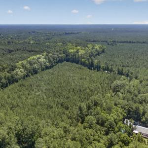 Photo #11 of 82 Acres Point Caswell Rd, Atkinson, NC 82.0 acres