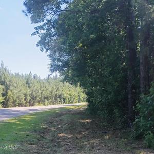 Photo #3 of 82 Acres Point Caswell Rd, Atkinson, NC 82.0 acres
