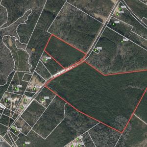 Photo #6 of 82 Acres Point Caswell Rd, Atkinson, NC 82.0 acres