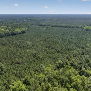 Photo #13 of 82 Acres Point Caswell Rd, Atkinson, NC 82.0 acres