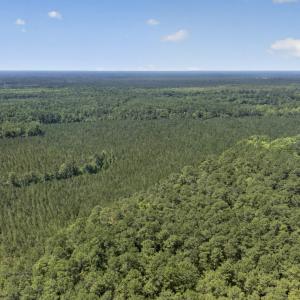 Photo #21 of 82 Acres Point Caswell Rd, Atkinson, NC 82.0 acres