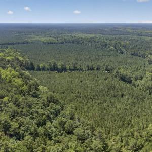 Photo #9 of 82 Acres Point Caswell Rd, Atkinson, NC 82.0 acres