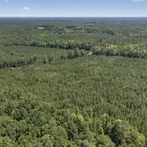 Photo #14 of 82 Acres Point Caswell Rd, Atkinson, NC 82.0 acres