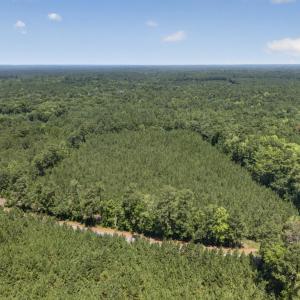 Photo #4 of 82 Acres Point Caswell Rd, Atkinson, NC 82.0 acres