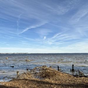 Photo #26 of Norfleet Shores, Belhaven, NC 112.0 acres