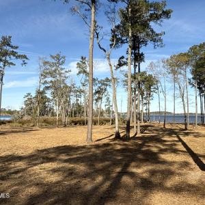 Photo #15 of Norfleet Shores, Belhaven, NC 112.0 acres