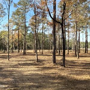 Photo #11 of Norfleet Shores, Belhaven, NC 112.0 acres