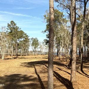 Photo #13 of Norfleet Shores, Belhaven, NC 112.0 acres