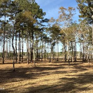 Photo #12 of Norfleet Shores, Belhaven, NC 112.0 acres