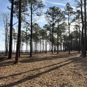 Photo #24 of Norfleet Shores, Belhaven, NC 112.0 acres