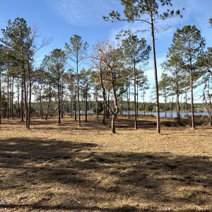 Photo #21 of Norfleet Shores, Belhaven, NC 112.0 acres