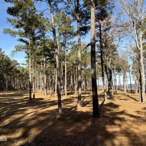 Photo #37 of Norfleet Shores, Belhaven, NC 112.0 acres