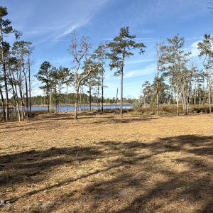Photo #23 of Norfleet Shores, Belhaven, NC 112.0 acres