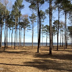 Photo #17 of Norfleet Shores, Belhaven, NC 112.0 acres