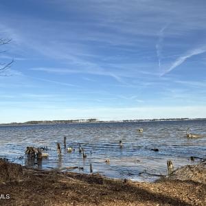 Photo #27 of Norfleet Shores, Belhaven, NC 112.0 acres