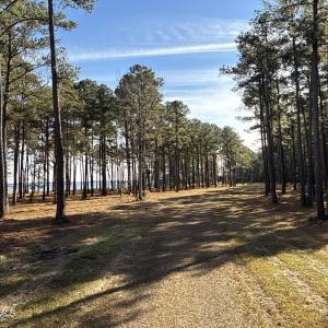 Photo #32 of Norfleet Shores, Belhaven, NC 112.0 acres