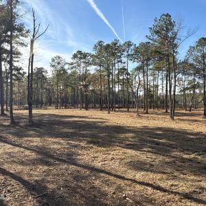 Photo #20 of Norfleet Shores, Belhaven, NC 112.0 acres