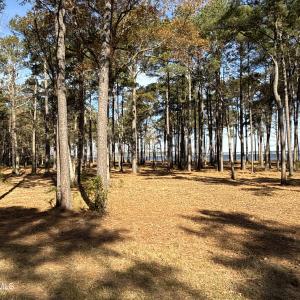 Photo #34 of Norfleet Shores, Belhaven, NC 112.0 acres