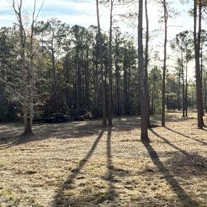 Photo #9 of Norfleet Shores, Belhaven, NC 112.0 acres