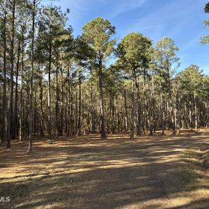 Photo #39 of Norfleet Shores, Belhaven, NC 112.0 acres