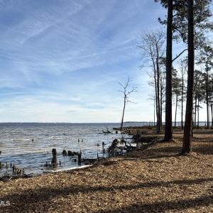Photo #25 of Norfleet Shores, Belhaven, NC 112.0 acres
