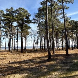 Photo #31 of Norfleet Shores, Belhaven, NC 112.0 acres