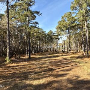Photo #33 of Norfleet Shores, Belhaven, NC 112.0 acres