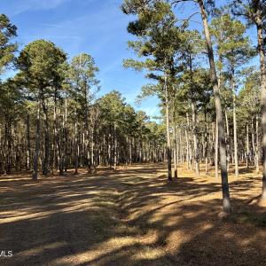 Photo #38 of Norfleet Shores, Belhaven, NC 112.0 acres