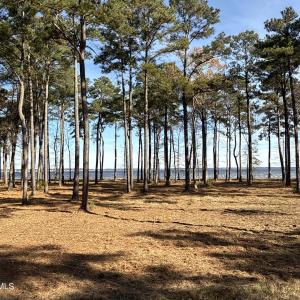 Photo #30 of Norfleet Shores, Belhaven, NC 112.0 acres