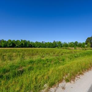 Photo #2 of Tbd Billy Mc, Green Sea, SC 9.4 acres