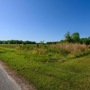 Photo #1 of Tbd Billy Mc, Green Sea, SC 9.4 acres