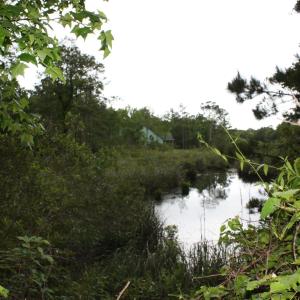 Photo #12 of 1901 Redfish, Supply, NC 0.7 acres