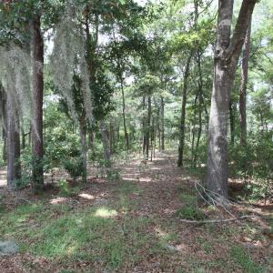 Photo #7 of 1901 Redfish, Supply, NC 0.7 acres