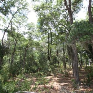 Photo #11 of 1901 Redfish, Supply, NC 0.7 acres