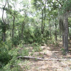 Photo #9 of 1901 Redfish, Supply, NC 0.7 acres