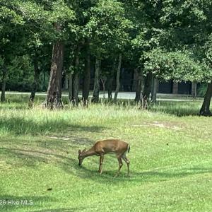 Photo #61 of 1901 Redfish, Supply, NC 0.7 acres