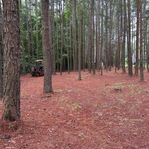 Photo #2 of 270 Guinea Mill, Moyock, NC 10.1 acres