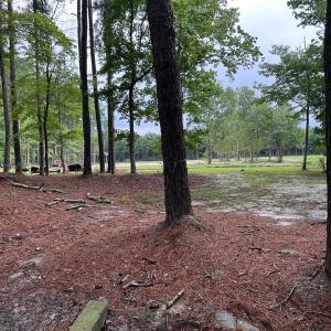 Photo #1 of 270 Guinea Mill, Moyock, NC 10.1 acres